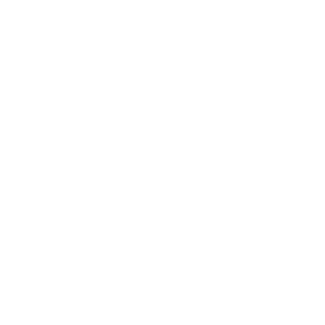 Consorcio Seguros